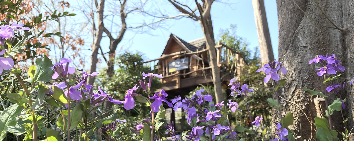 東京青山 KOKKY COLLEGE